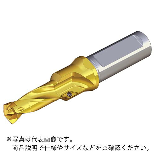 TAEGUTEC ( NTKカッティングツールズ ) 刃先取り替えっこ式せん孔機保持者 せん孔機混雑時 ( TCD 120X35X16T3-M14 ) 花・ガーデン・DIY-その他-DIY・工具
