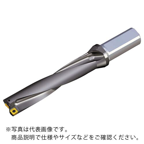 TAEGUTEC ( NTKカッティングツールズ ) 刃先交換式ドリルホルダー トップドリル ( TOP 5165-25T2-06 )