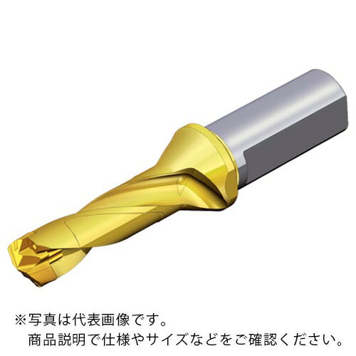 TAEGUTEC ( NTKカッティングツールズ ) 刃先交換式ドリルホルダー ドリルラッシュ ( TCD 125-129-16T3-3D )