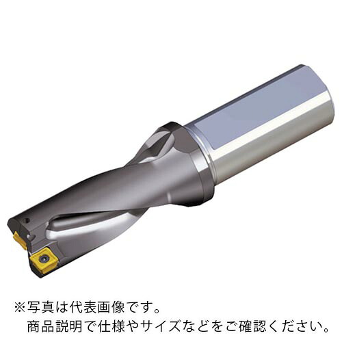 TAEGUTEC ( NTKカッティングツールズ ) 刃先交換式ドリルホルダー トップドリル ( TOP 2280-32T2-09 )