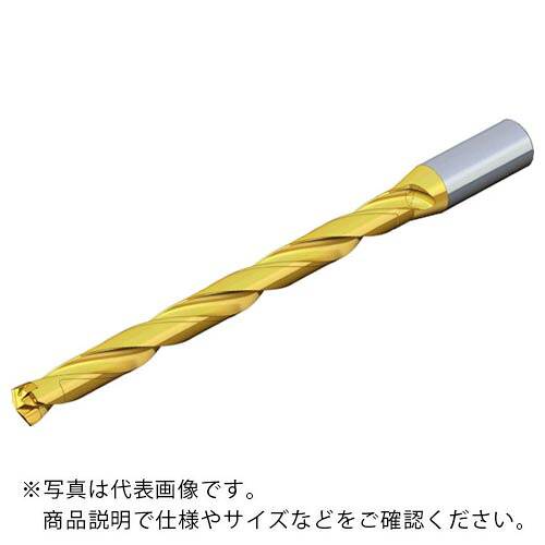 TAEGUTEC ( NTKカッティングツールズ ) 刃先取り替えっこ式せん孔機保持者 せん孔機混雑時 ( TCD 170-179-20S0-12D )