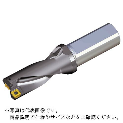 TAEGUTEC ( NTKカッティングツールズ ) 刃先交換式ドリルホルダー トップドリル ( TOP 2195-25T2-07 )