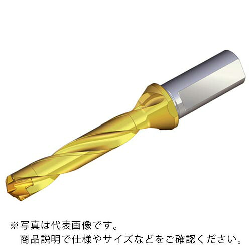 【SALE必要経費】TAEGUTEC ( NTKカッティングツールズ ) 刃先取り替えっこ式せん孔機保持者 せん孔機混雑時 ( TCD 210-219-25T2-5D )