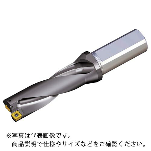 TAEGUTEC ( NTKカッティングツールズ ) 刃先交換式ドリルホルダー トップドリル ( TOP 3450-40T2-15 )