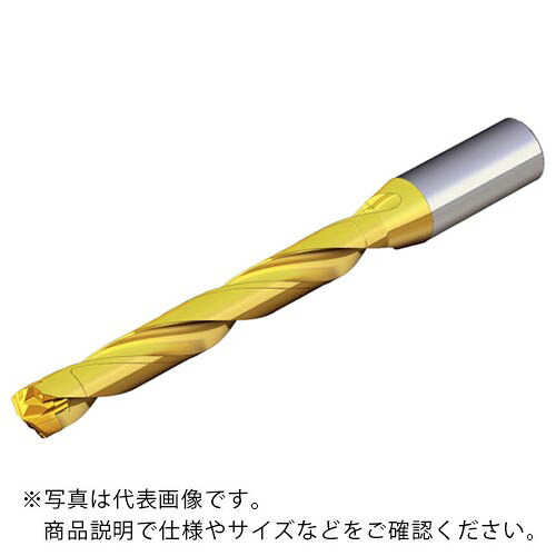 TAEGUTEC ( NTKカッティングツールズ ) 刃先交換式ドリルホルダー ドリルラッシュ ( TCD 145-149-16S0-8D )