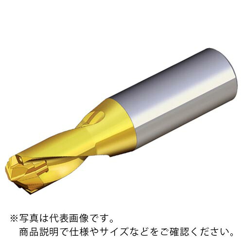 TAEGUTEC ( NTKカッティングツールズ ) 刃先交換式ドリルホルダー ドリルラッシュ ( TCD 150-159-20S0-1.5D )