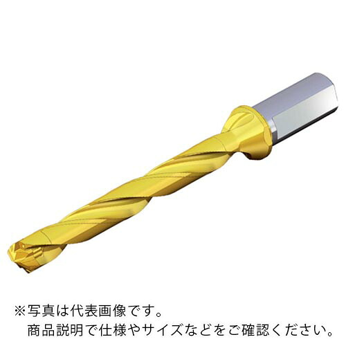 TAEGUTEC ( NTKカッティングツールズ ) 刃先交換式ドリルホルダー ドリルラッシュ ( TCD 135-139-16T3-8D )