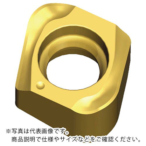 【SALE必要経費】TAEGUTEC ( NTKカッティングツールズ ) ミーリング製作用手当て チェイス4圧砕機 ( 4NKT 110640R-HF TT9080 ) 【10個仕掛ける】