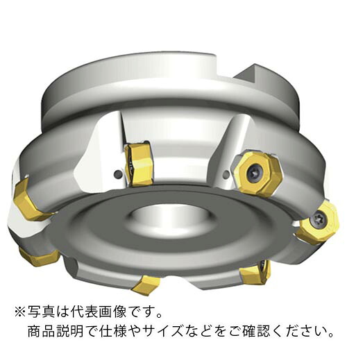 TAEGUTEC ( NTKカッティングツールズ ) ミーリング截断機 チェイス12圧砕機 ( 12D-TF45-563-22R-06 )
