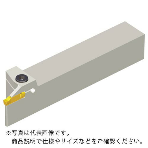 TAEGUTEC ( NTKカッティングツールズ ) 突切・溝必要経費保持者 Tクランプ ( TTER 2525-4T10 )
