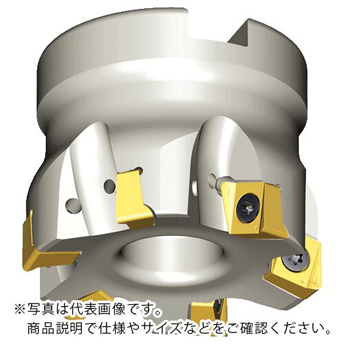 TAEGUTEC ( NTKカッティングツールズ ) ミーリングカッター チェイス4ミル ( 4N TF90-540-16R-09 )