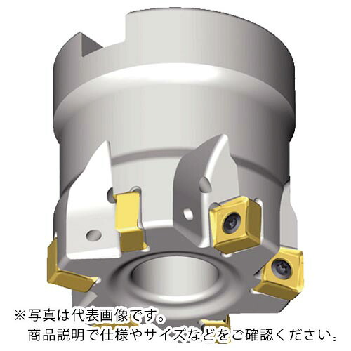 TAEGUTEC ( NTKカッティングツールズ ) ミーリングカッター チェイス8ミル ( 8D-TF90-432-16R-07 )