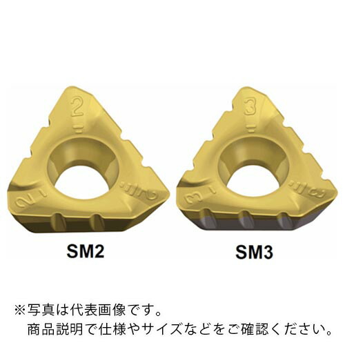TAEGUTEC ( NTKカッティングツールズ ) ミーリング加工用チップ ミルラッシュ ( 3PKT 150508R-SM3 TT8080 ) 【10個セット】