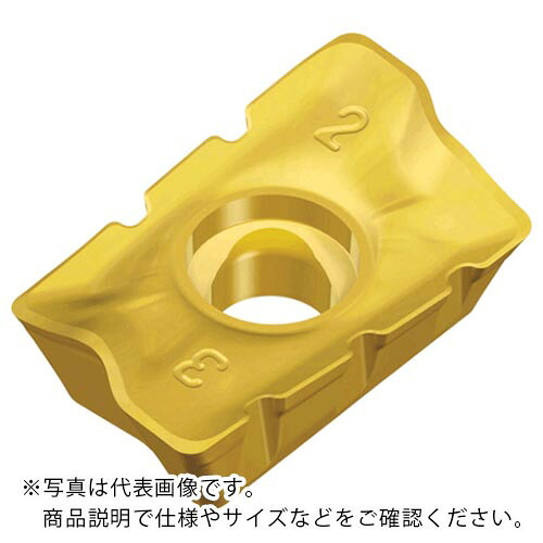 TAEGUTEC ( NTKカッティングツールズ ) ミーリング処理用手当て チェイスミル ( APKT 1705 PER-SM TT8080 ) 【10個仕掛ける】 DIY・工具-花・ガーデン・DIY