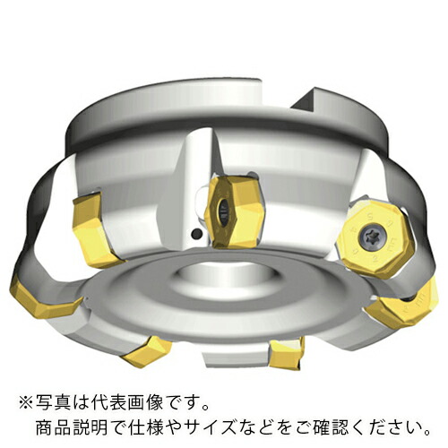 TAEGUTEC ( NTKカッティングツールズ ) ミーリング截断機 チェイス12圧砕機 ( 12D-TF45-563-22R-10 )