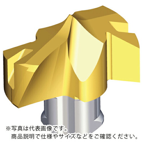 TAEGUTEC ( NTKカッティングツールズ ) 刃先取り替えっこ式せん孔機用頭顱 せん孔機混雑時 ( TCD-110-P+ TT9080 ) DIY・工具-花・ガーデン・DIY-その他