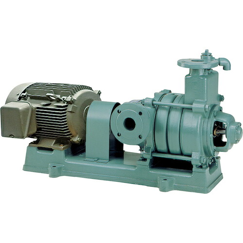 【SALE通貨価値】TERADA ( 寺田揚水機製造所 ) 自吸式多段うず巻き揚水機 ( MFS4-53.75E 50HZ ) 【製造会社取寄】