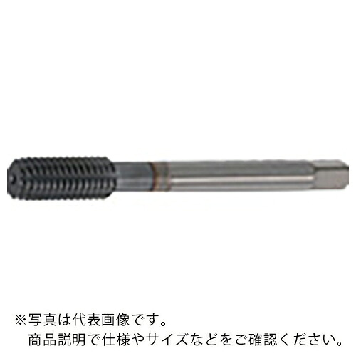 田野井製造所 ダブルタフレット M14X1.5 B10 47048 ( W-TFM14X1.5B10 )