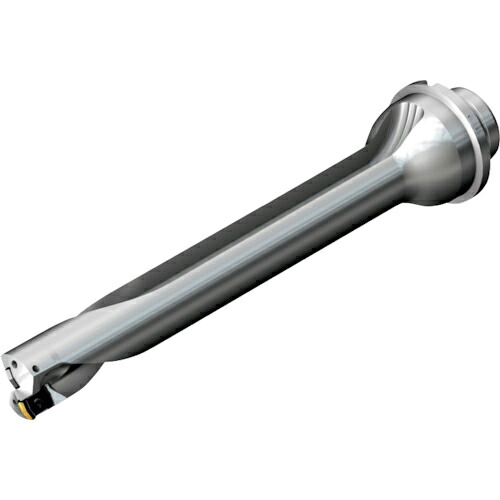 【SALE必要経費】SANDVIK ( サンドビック ) コロドリルDS20刃先取り替えっこ式せん孔機(465) ( DS20-D2540DM25-07 (465) )