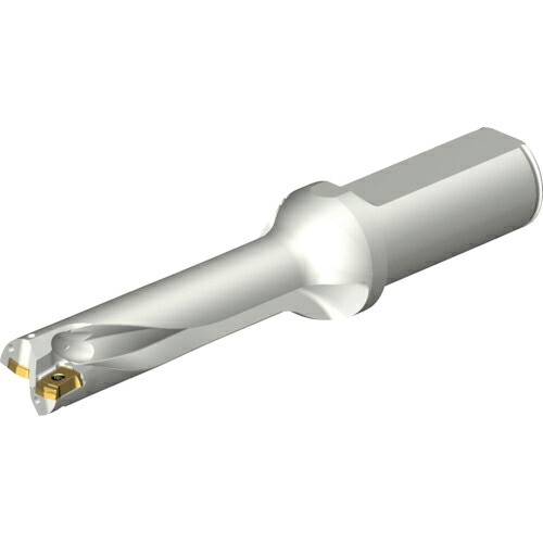 SANDVIK ( サンドビック ) コロドリルDS20刃先取り替えっこ式せん孔機(465) ( DS20-D1905LX25-04 (465) )