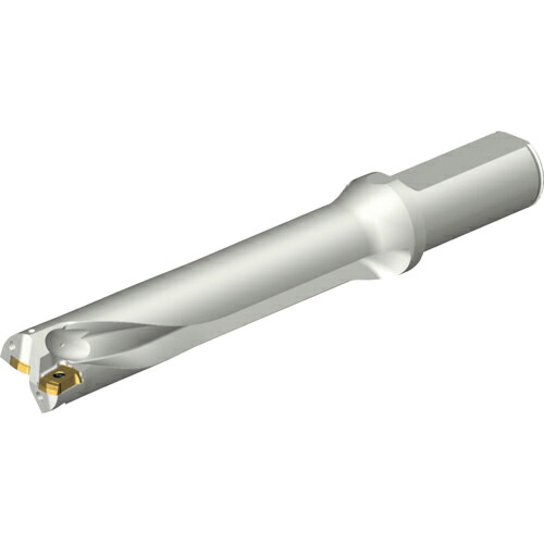 SANDVIK ( サンドビック ) コロドリルDS20刃先交換式ドリル(465) ( DS20-D2540LX25-05 (465) )
