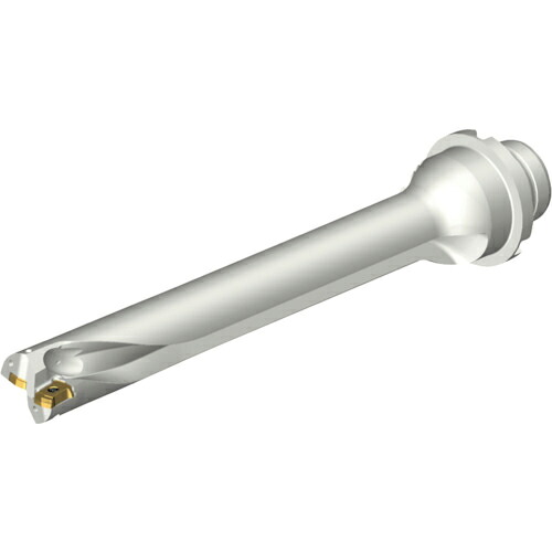 【SALE必要経費】SANDVIK ( サンドビック ) コロドリルDS20刃先取り替えっこ式せん孔機(465) ( DS20-D2100DM25-07 (465) )