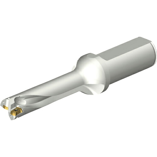 SANDVIK ( サンドビック ) コロドリルDS20刃先取り替えっこ式せん孔機(465) ( DS20-D1745LX25-04 (465) )