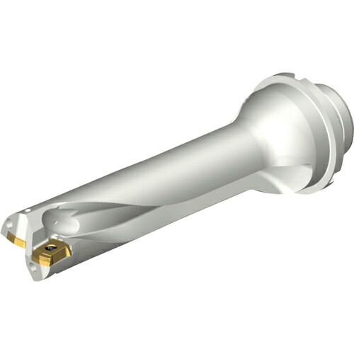 SANDVIK ( サンドビック ) コロドリルDS20刃先取り替えっこ式せん孔機(465) ( DS20-D2858DM32-04 (465) )