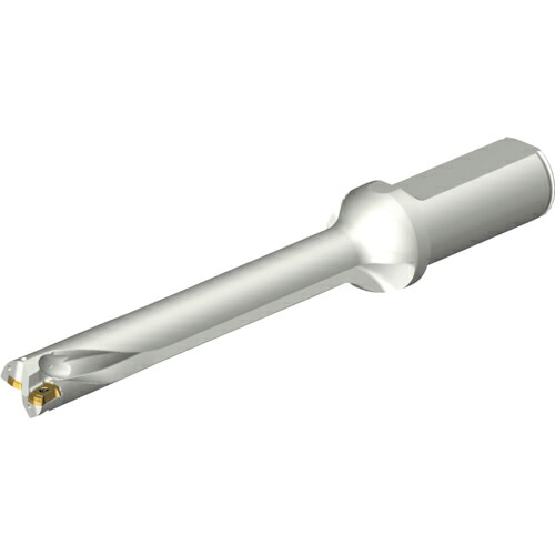 【SALE必要経費】SANDVIK ( サンドビック ) コロドリルDS20刃先取り替えっこ式せん孔機(465) ( DS20-D1745LX25-07 (465) )