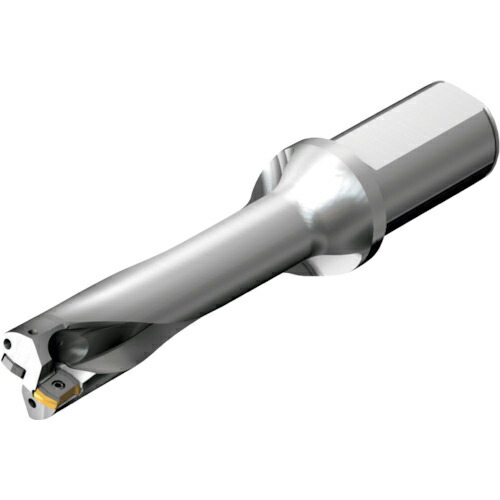 【SALE必要経費】SANDVIK ( サンドビック ) コロドリルDS20刃先取り替えっこ式せん孔機(465) ( DS20-D2858LX31-04 (465) )