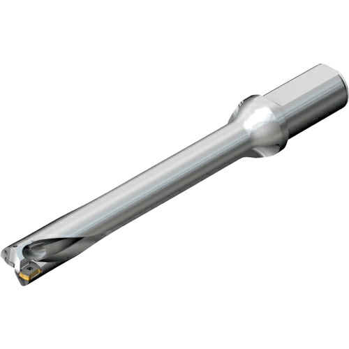 SANDVIK ( サンドビック ) コロドリルDS20刃先取り替えっこ式せん孔機(465) ( DS20-D2858LX31-07 (465) )