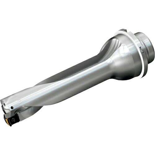 SANDVIK ( サンドビック ) コロドリルDS20刃先取り替えっこ式せん孔機(465) ( DS20-D2200DM25-04 (465) )