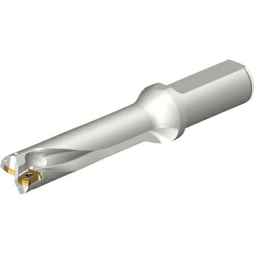 SANDVIK ( サンドビック ) コロドリルDS20刃先交換式ドリル(465) ( DS20-D2223LX25-04 (465) )