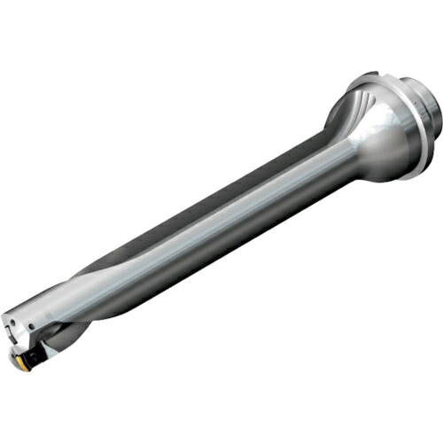 SANDVIK ( サンドビック ) コロドリルDS20刃先交換式ドリル(465) ( DS20-D3000DM32-07 (465) )