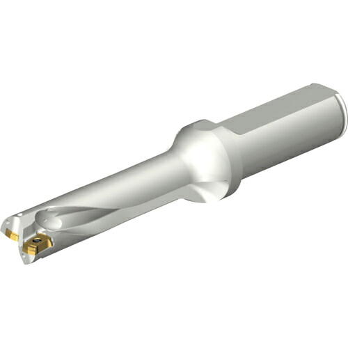 SANDVIK ( サンドビック ) コロドリルDS20刃先交換式ドリル(465) ( DS20-D1588LX19-04 (465) )