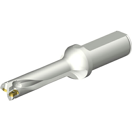 SANDVIK ( サンドビック ) コロドリルDS20刃先取り替えっこ式せん孔機(465) ( DS20-D1750L25-04 (465) )