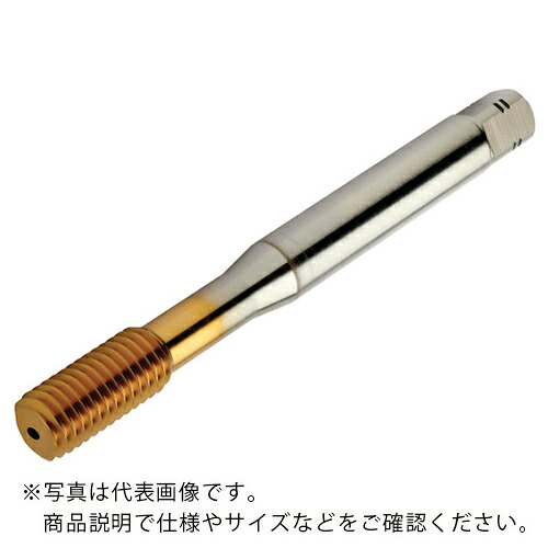 【SALE必要経費】SANDVIK ( サンドビック ) コロタップ400 転造水道栓(780) F125 ( T400-PM103AE-1/2 F125 (780) ) 【製造業者取寄】