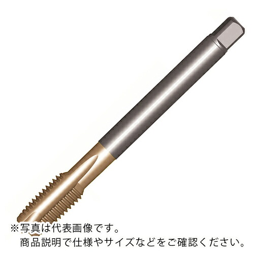 【SALE通貨価値】SANDVIK ( サンドビック ) コロタップ200 尖んがり水道栓(781) B110 ( T200-XM100DB-M20X100B110 (781) ) 【製造業者取寄】
