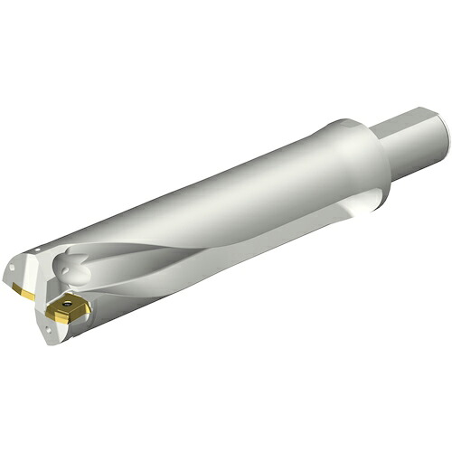 SANDVIK ( サンドビック ) コロドリルDS20刃先交換式ドリル(465) ( DS20-D6033LX38-04 (465) )