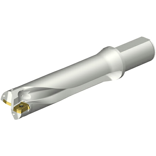 【SALE通貨価値】SANDVIK ( サンドビック ) コロドリルDS20刃先取り替えっこ式せん孔機(465) ( DS20-D4285LX38-04 (465) )