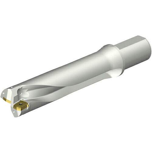 SANDVIK ( サンドビック ) コロドリルDS20刃先交換式ドリル(465) ( DS20-D5500L50-04 (465) )