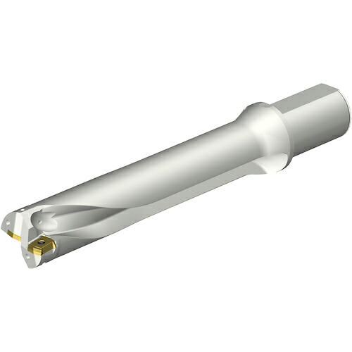 SANDVIK ( サンドビック ) コロドリルDS20刃先交換式ドリル(465) ( DS20-D5000L50-05 (465) )