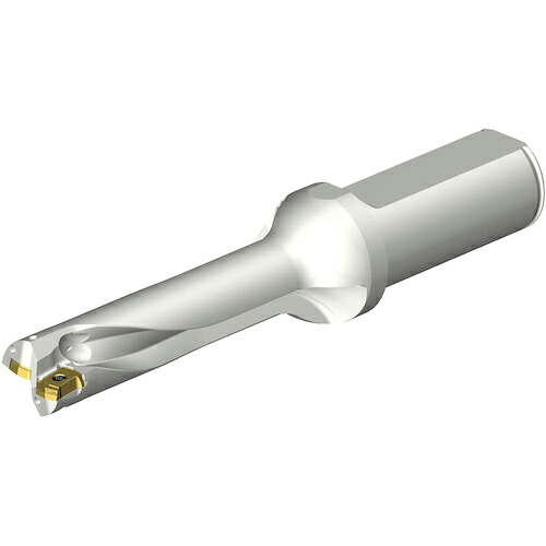 SANDVIK ( サンドビック ) コロドリルDS20刃先取り替えっこ式せん孔機(465) ( DS20-D1850L25-04 (465) )