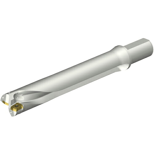 SANDVIK ( サンドビック ) コロドリルDS20刃先交換式ドリル(465) ( DS20-D4445LX38-06 (465) )
