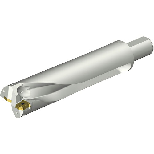 SANDVIK ( サンドビック ) コロドリルDS20刃先交換式ドリル(465) ( DS20-D6350LX38-04 (465) )