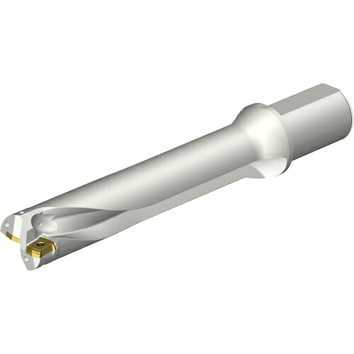 SANDVIK ( サンドビック ) コロドリルDS20刃先交換式ドリル(465) ( DS20-D4700L50-05 (465) )