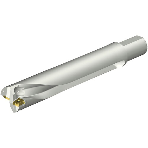 SANDVIK ( サンドビック ) コロドリルDS20刃先取り替えっこ式せん孔機(465) ( DS20-D6300L50-05 (465) )