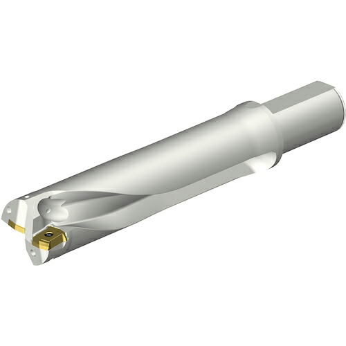 【SALE通貨価値】SANDVIK ( サンドビック ) コロドリルDS20刃先取り替えっこ式せん孔機(465) ( DS20-D4763LX38-04 (465) )
