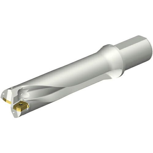 SANDVIK ( サンドビック ) コロドリルDS20刃先交換式ドリル(465) ( DS20-D5300L50-04 (465) )