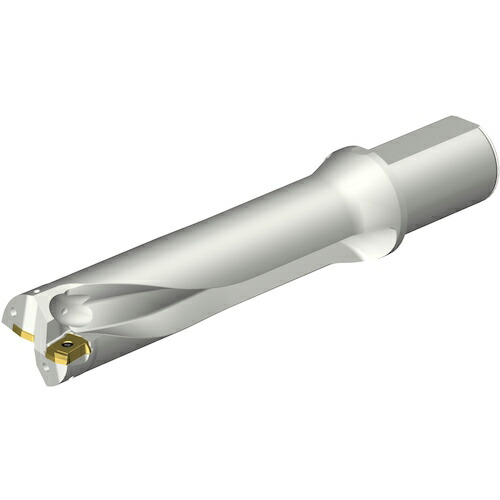 SANDVIK ( サンドビック ) コロドリルDS20刃先交換式ドリル(465) ( DS20-D5100L50-04 (465) )